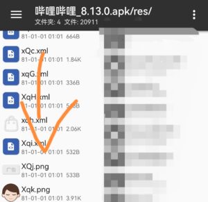 在b站安装包里发现的图标,这些图标有啥用?-小白网