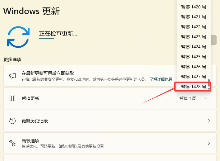 图片[6]-如何暂停 Windows 更新 10000 天？-小白网