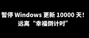 如何暂停 Windows 更新 10000 天？-小白网