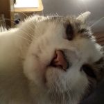 瓜子aaa的头像-小白网